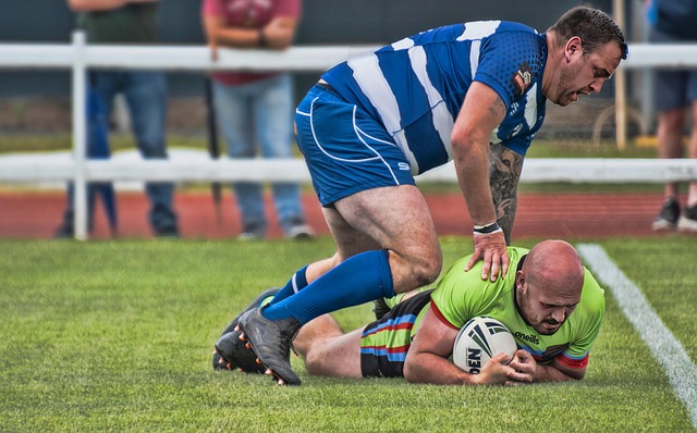 这样的表述 这样的表述