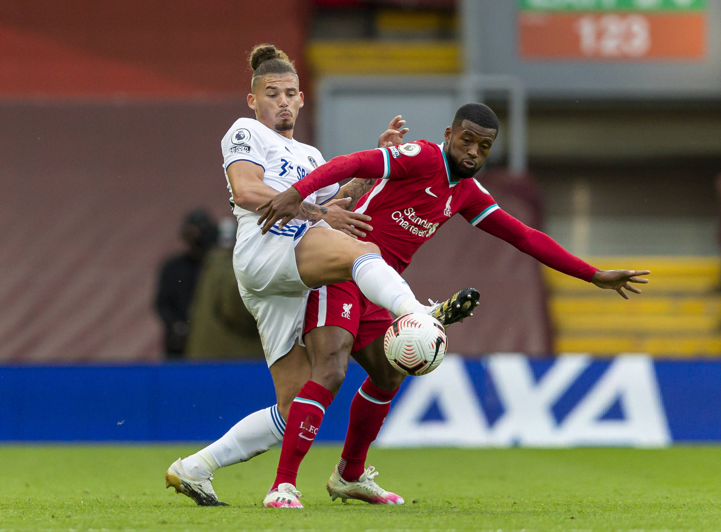 为森林注入 为森林注入